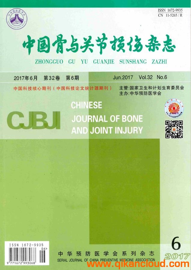 中国骨与关节损伤杂志
