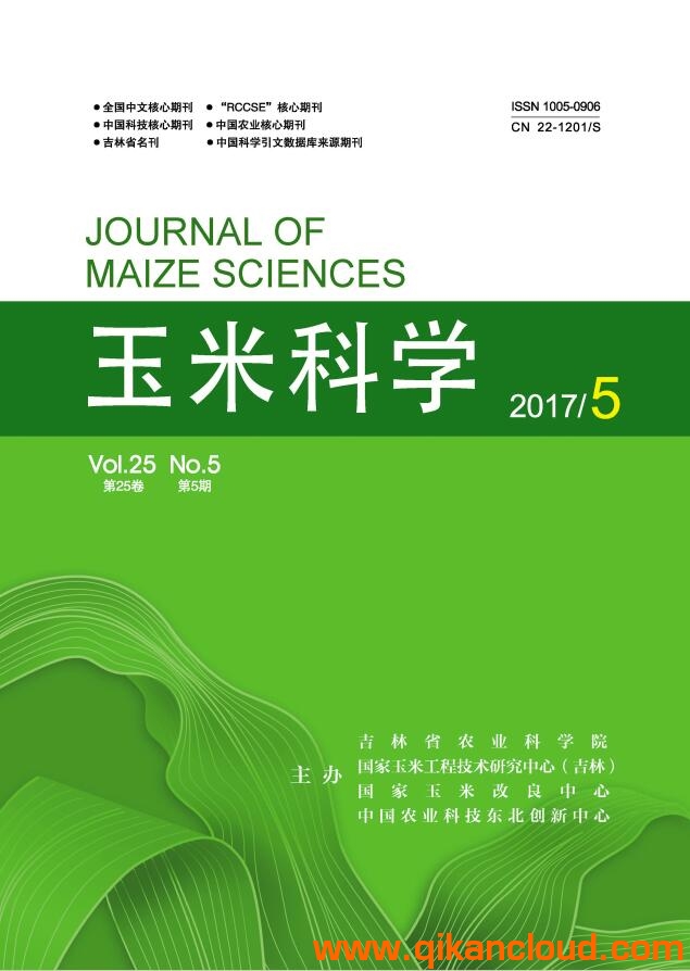 玉米科学