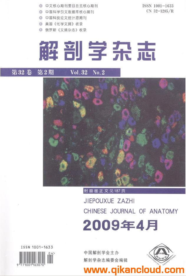 解剖学杂志