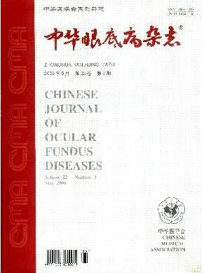 中华眼底病杂志
