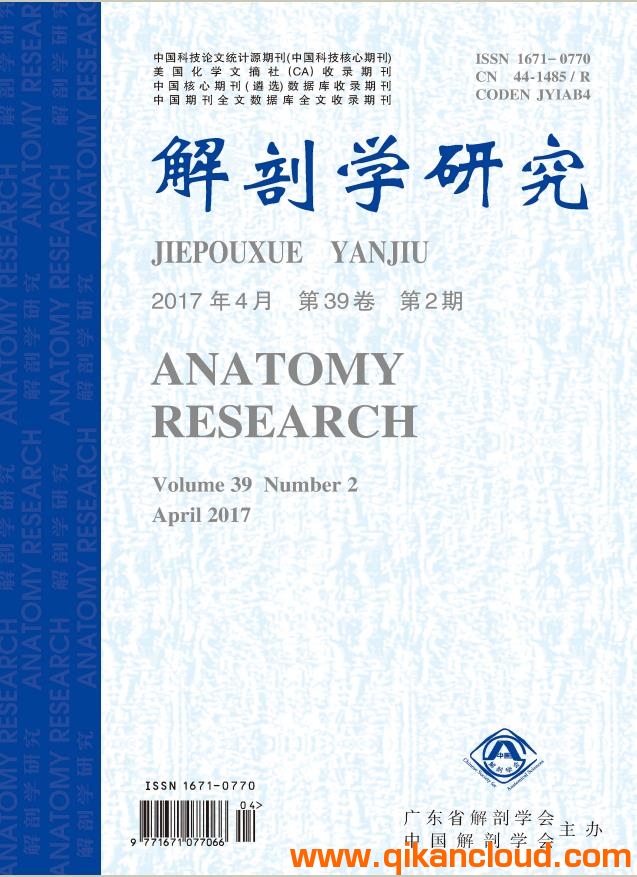 解剖学研究