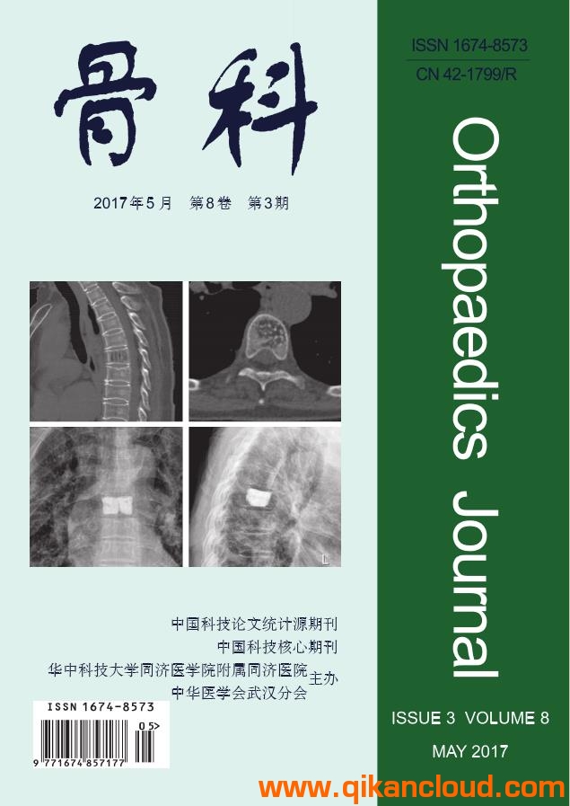 骨科杂志